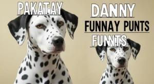 dalmatian puns