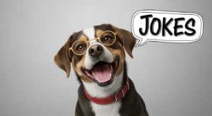dog jokes